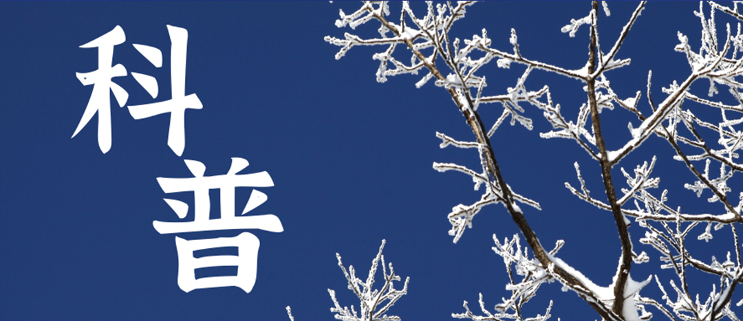科普 | 冬季雨雪天氣?；愤\(yùn)輸車輛注意事項(xiàng)