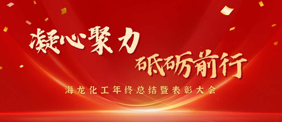 表彰 | 凝心聚力，砥礪前行，海龍化工年終總結(jié)暨表彰大會(huì)圓滿舉行